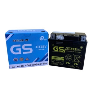 ẮC QUY GS GTZ6V