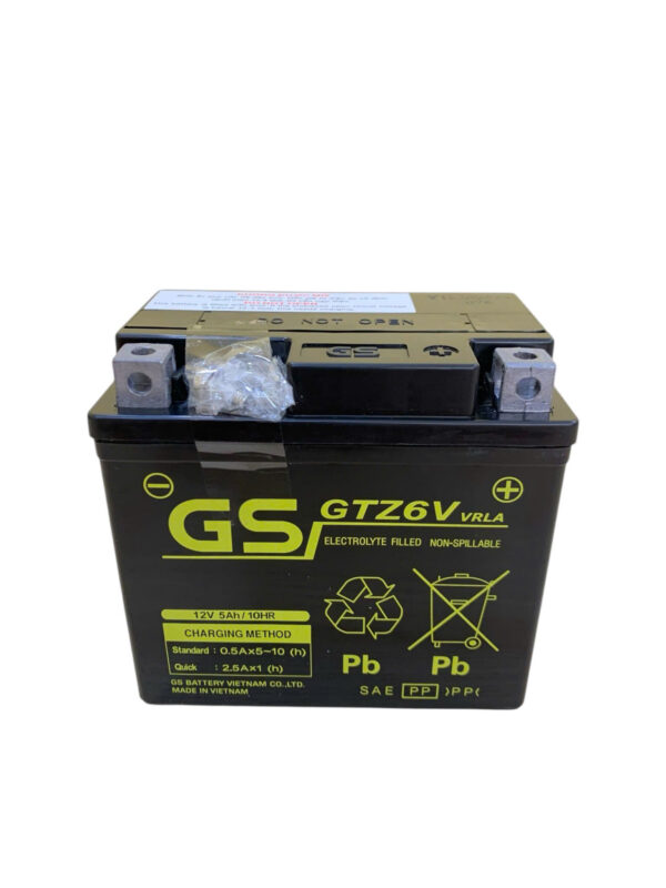 ẮC QUY GS GTZ6V (12V-5AH) - Ảnh 2