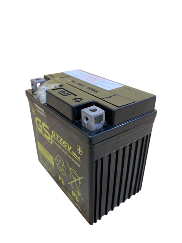 ẮC QUY GS GTZ6V (12V-5AH) - Ảnh 4