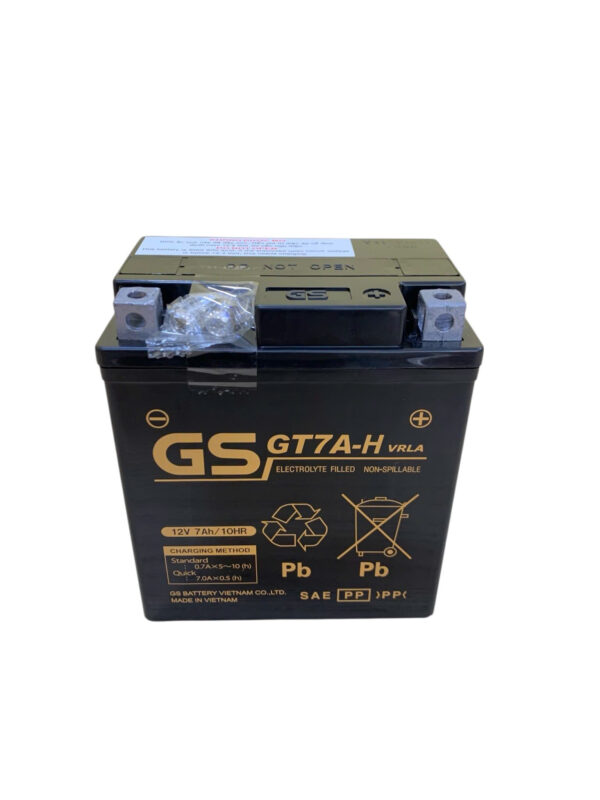 ẮC QUY GS GT7A-H (12V-7AH) - Ảnh 2