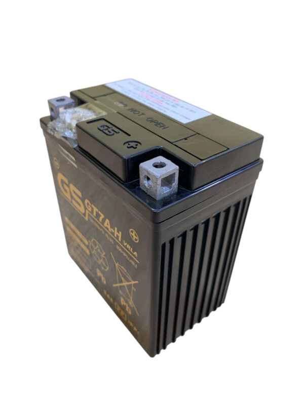 ẮC QUY GS GT7A-H (12V-7AH) - Ảnh 4
