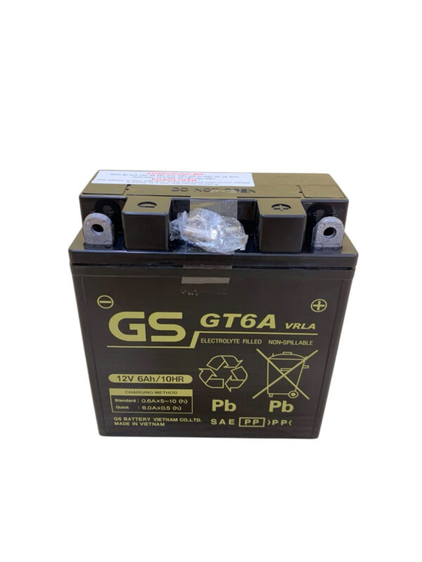 ẮC QUY GS GT6A (12V-6AH) - Ảnh 2