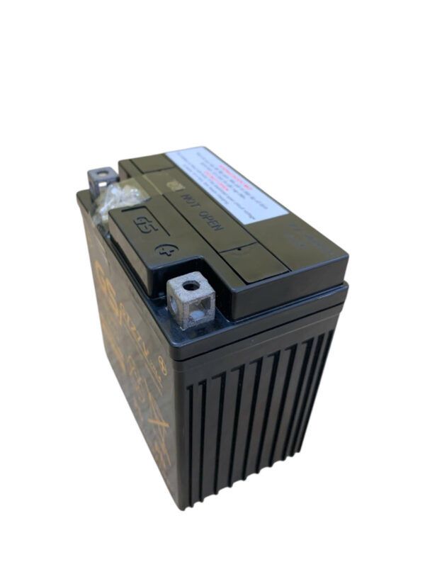 ẮC QUY GS GTZ7V (12V-6AH) - Ảnh 4