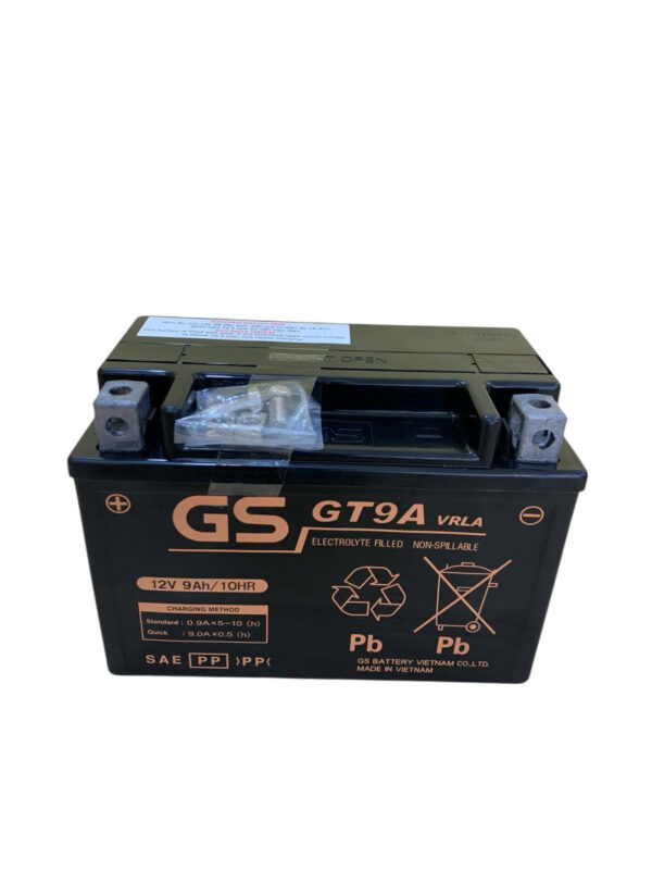 Ắc quy GS GT9A (12V – 9AH) - Ảnh 2