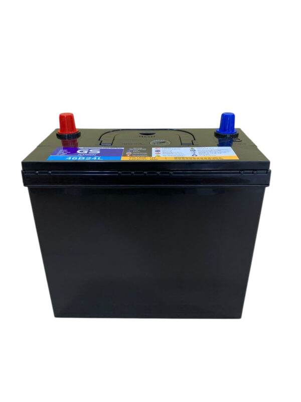 ẮC QUY GS 46B24L (12V45AH) - Ảnh 4