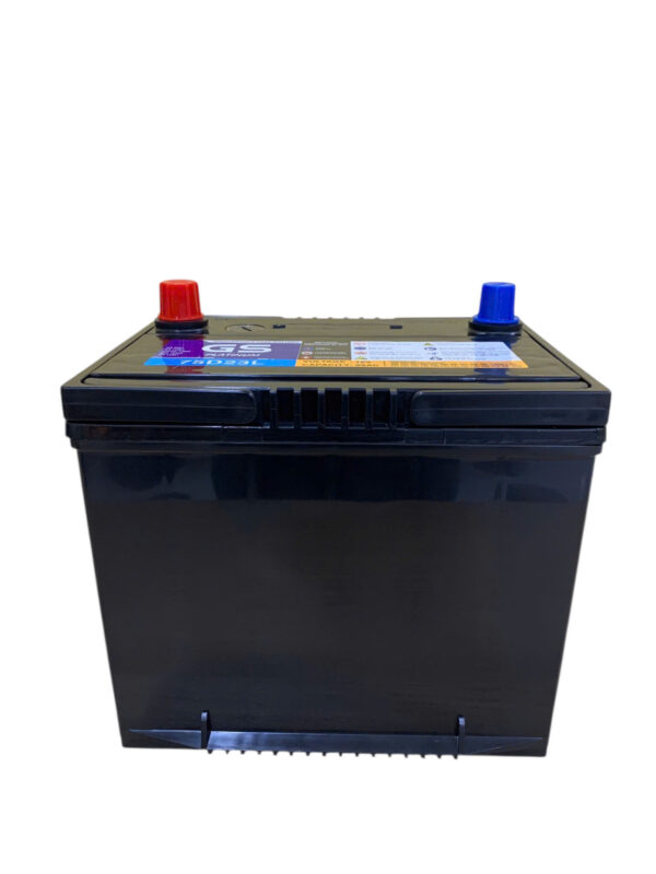 ẮC QUY GS 75D23L (12V65AH) - Ảnh 4