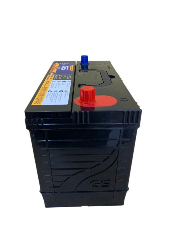 ẮC QUY GS 115D33C (12V100AH) - Ảnh 3