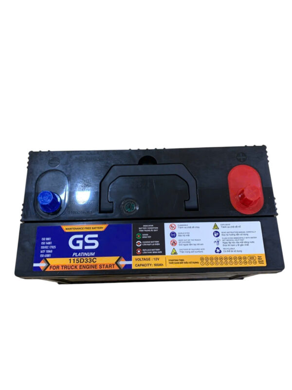 ẮC QUY GS 115D33C (12V100AH) - Ảnh 5