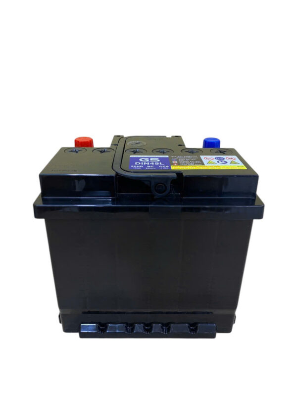 ẮC QUY GS DIN45L (12V45AH) - Ảnh 4