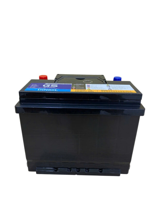 ẮC QUY GS DIN60L (12V60AH) - Ảnh 4