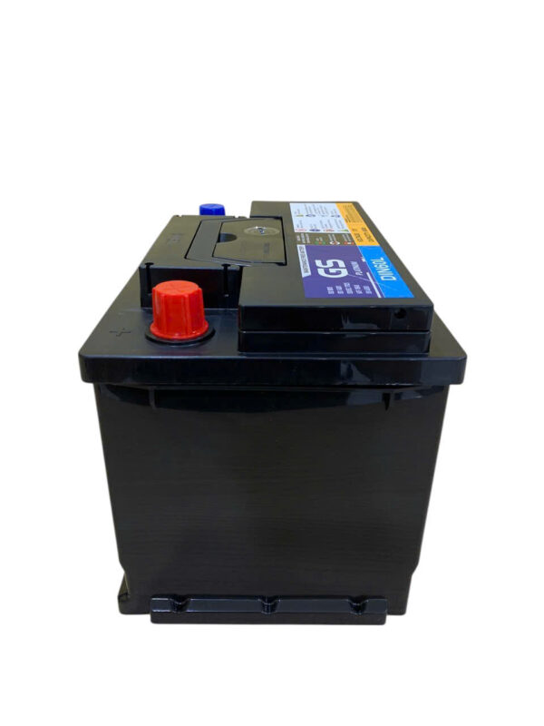 ẮC QUY GS DIN60L (12V60AH) - Ảnh 3