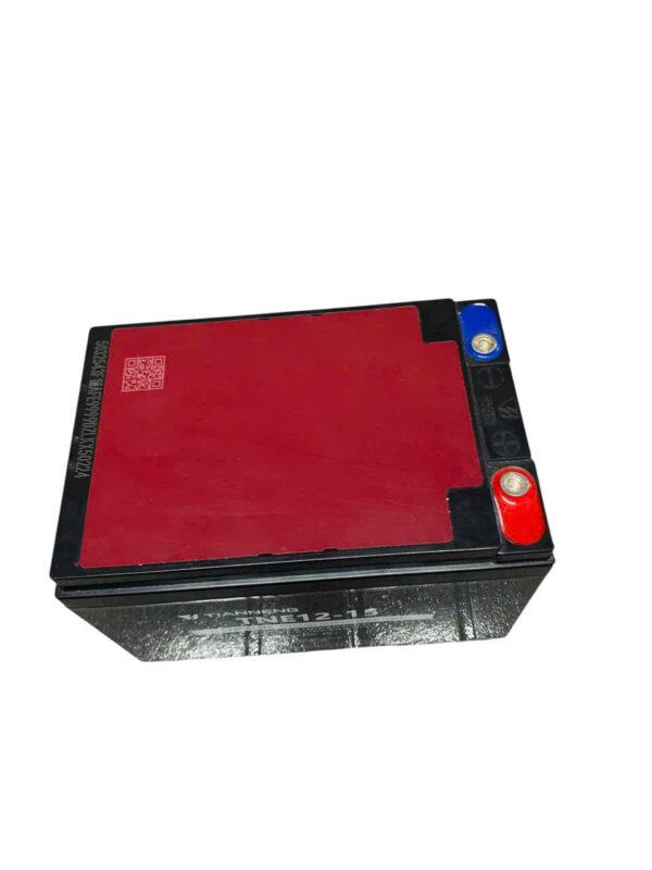 ẮC QUY XE ĐIỆN TIANNENG TNE12-15 (12V15AH) - Ảnh 3