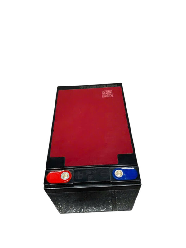 ẮC QUY XE ĐIỆN TIANNENG TNE12-15 (12V15AH) - Ảnh 4