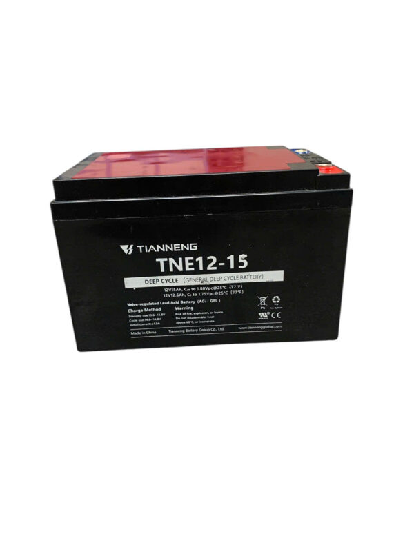 ẮC QUY XE ĐIỆN TIANNENG TNE12-15 (12V15AH) - Ảnh 2