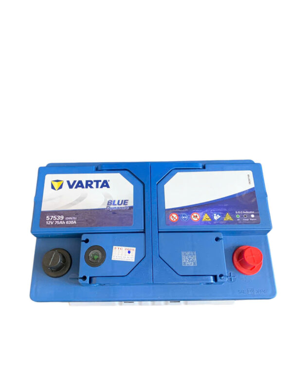 ẮC QUY VARTA 57539 (12V75AH) - Ảnh 3