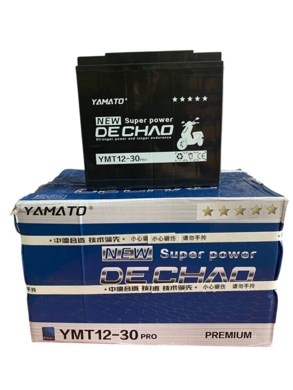 ẮC QUY XE ĐIỆN YAMATO DECHAO YMT12-30PRO