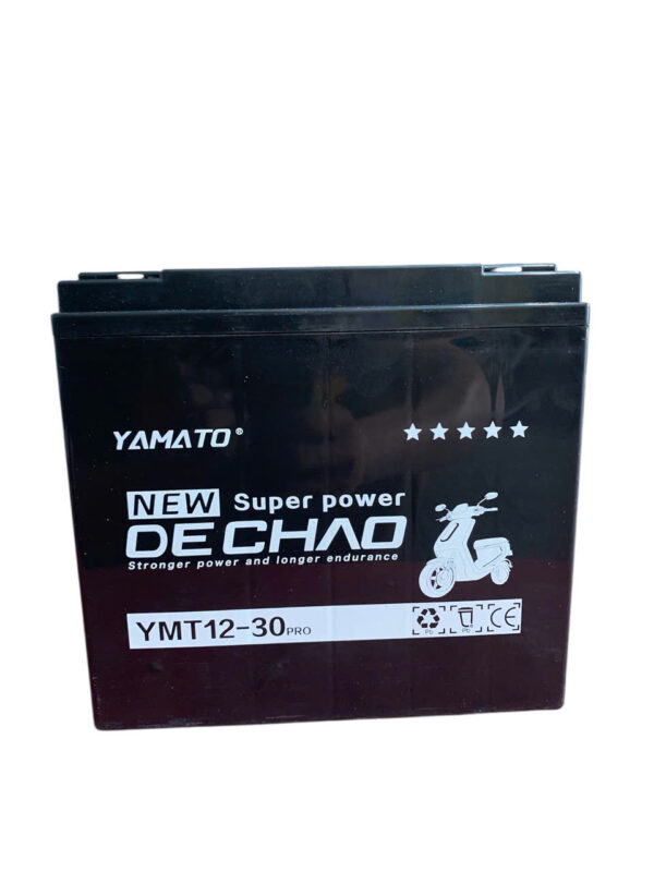 ẮC QUY XE ĐIỆN YAMATO DECHAO YMT12-30PRO (12V30AH) - Ảnh 2