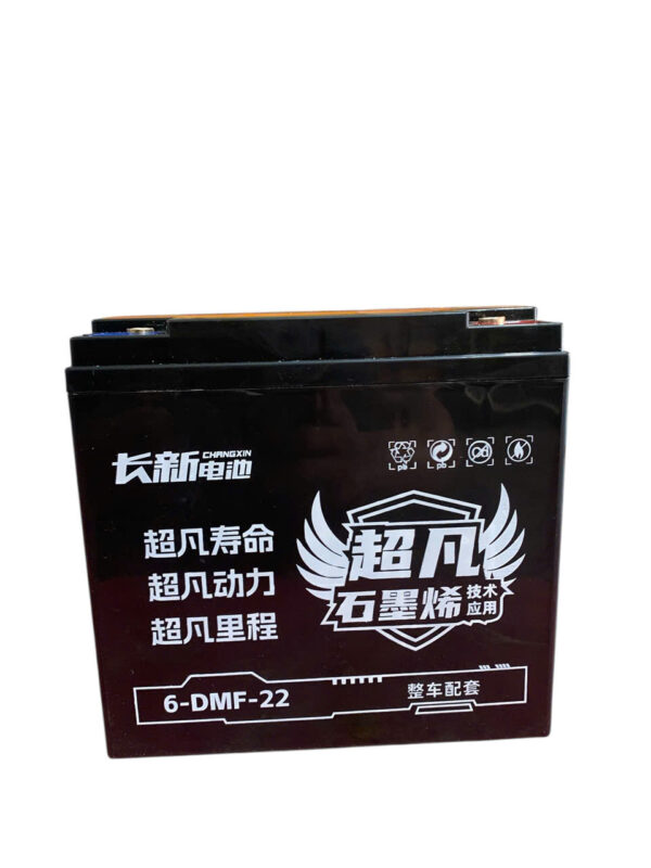 ẮC QUY XE ĐIỆN CHANGXIN 6-DMF-22 (12V22AH) - Ảnh 2