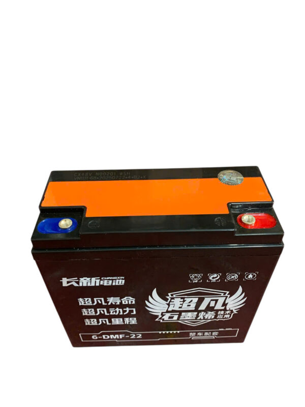 ẮC QUY XE ĐIỆN CHANGXIN 6-DMF-22 (12V22AH) - Ảnh 3