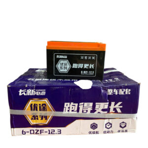 ẮC QUY XE ĐIỆN CHANGXIN 6-DZF-12.3