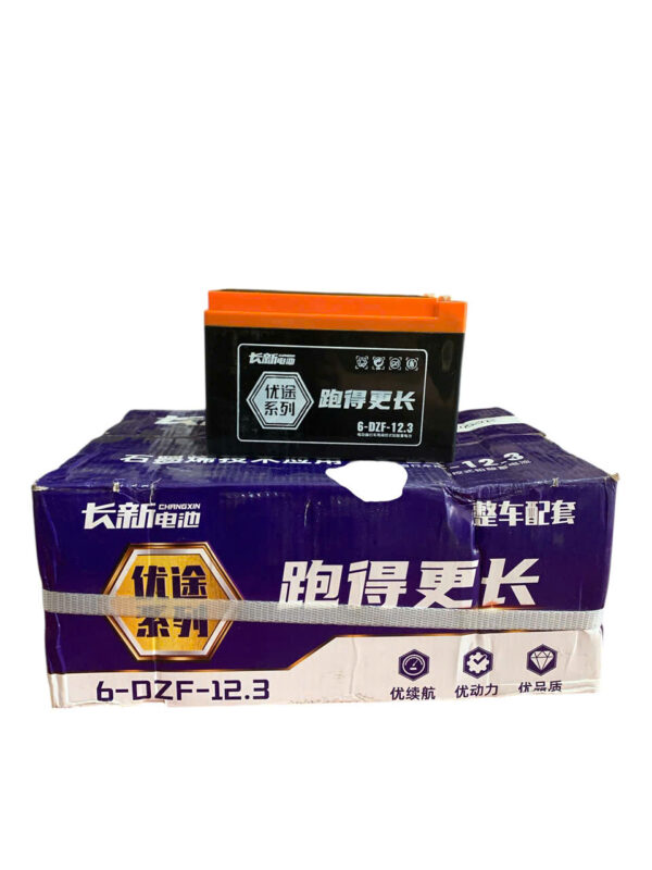 ẮC QUY XE ĐIỆN CHANGXIN 6-DZF-12.3