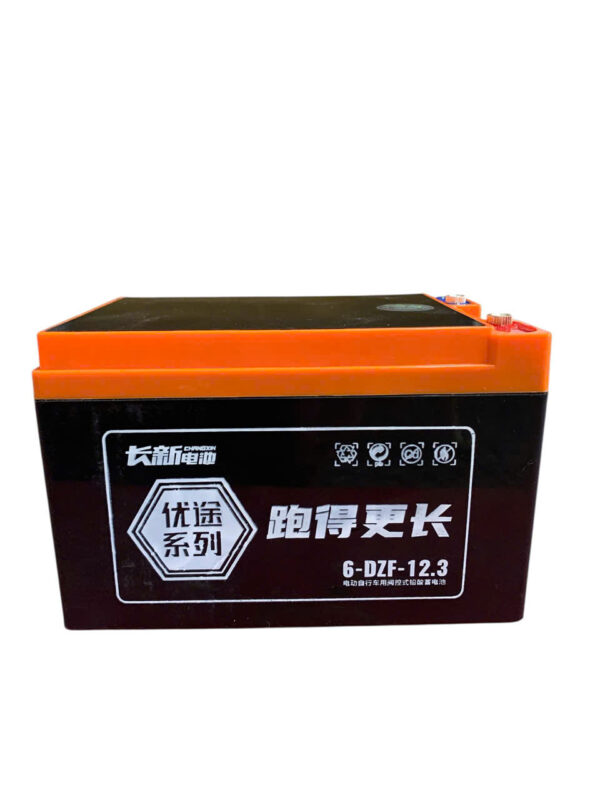 ẮC QUY XE ĐIỆN CHANGXIN 6-DZF-12.3 (12V12AH) - Ảnh 2