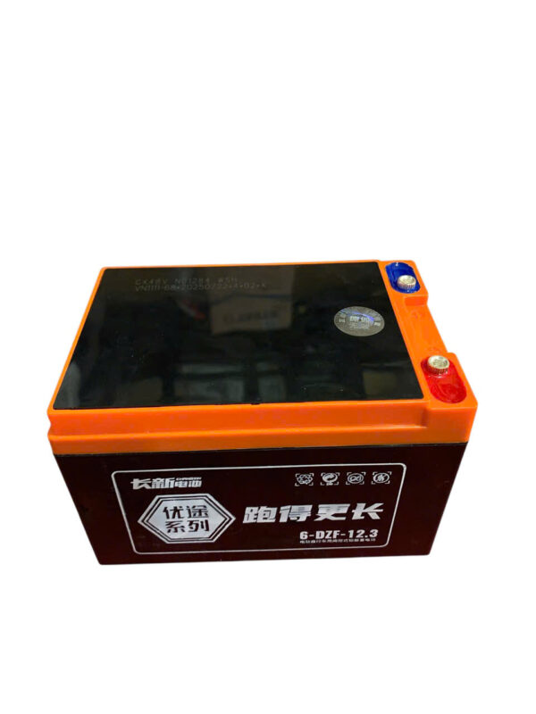 ẮC QUY XE ĐIỆN CHANGXIN 6-DZF-12.3 (12V12AH) - Ảnh 3