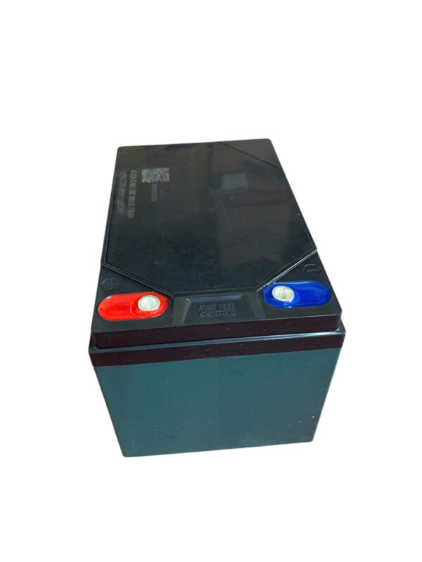 ẮC QUY XE ĐIỆN DECHAO 6-DZF-12 (12V12AH) - Ảnh 4