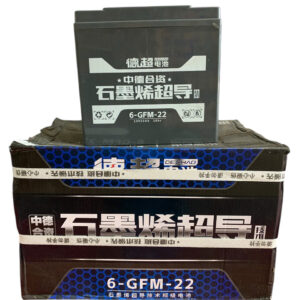 ẮC QUY XE ĐIỆN DECHAO 6-GMF-22