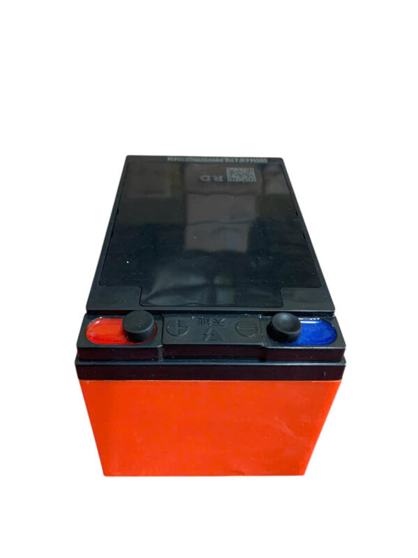ẮC QUY XE ĐIỆN TIANNENG TNE12-15 (12V15AH) - Ảnh 4