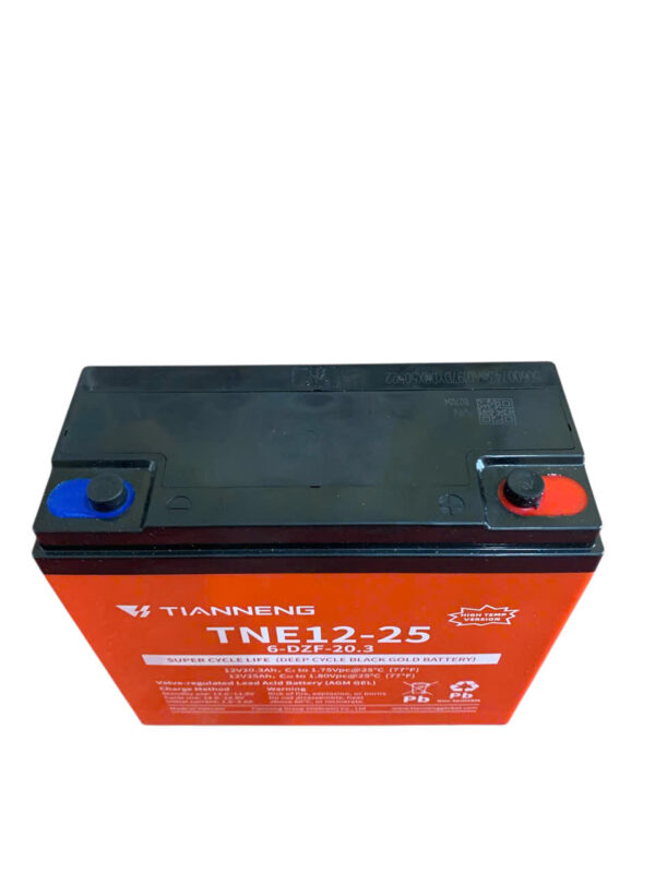 ẮC QUY XE ĐIỆN TIANNENG TNE12-25 (12V25AH) - Ảnh 3