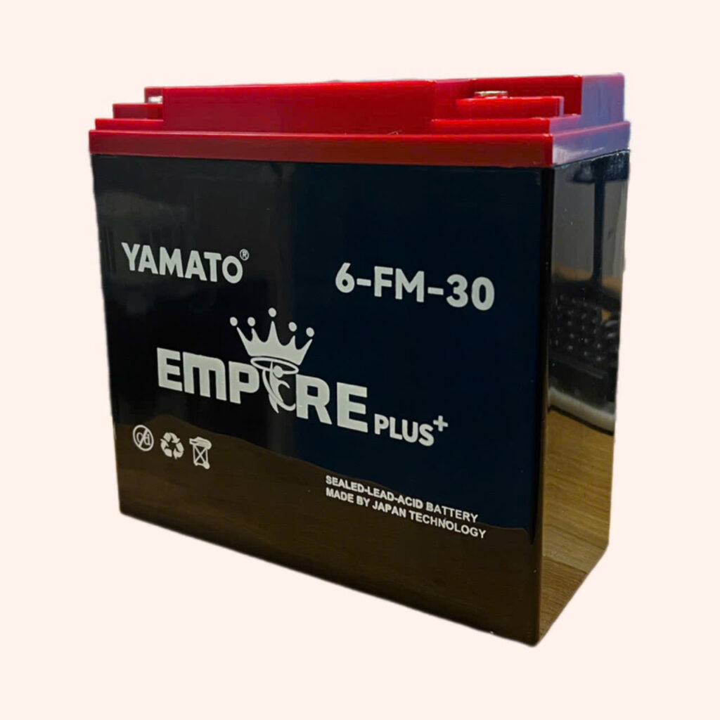 ẮC QUY XE ĐIỆN YAMATO EMPIRE PLUS 6-FM-30