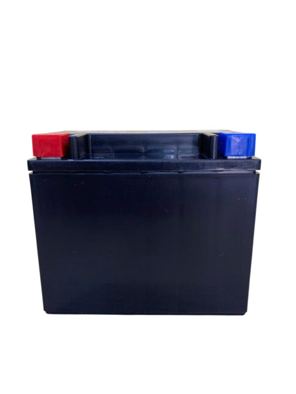 ẮC QUY PHỤ XE VOLVO BTX12 (12V10AH) - Ảnh 3