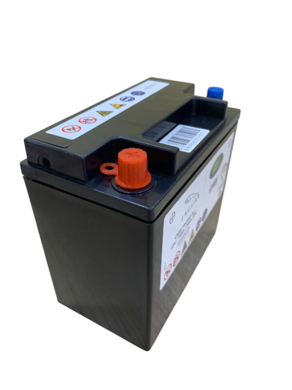 ẮC QUY PHỤ XE JAGUAR (12V14AH) - Ảnh 5