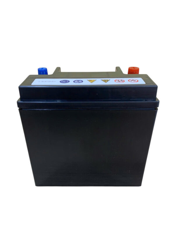 ẮC QUY PHỤ XE JAGUAR (12V14AH) - Ảnh 4