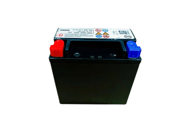 ẮC QUY PHỤ XE BMW (12V12AH) - Ảnh 3